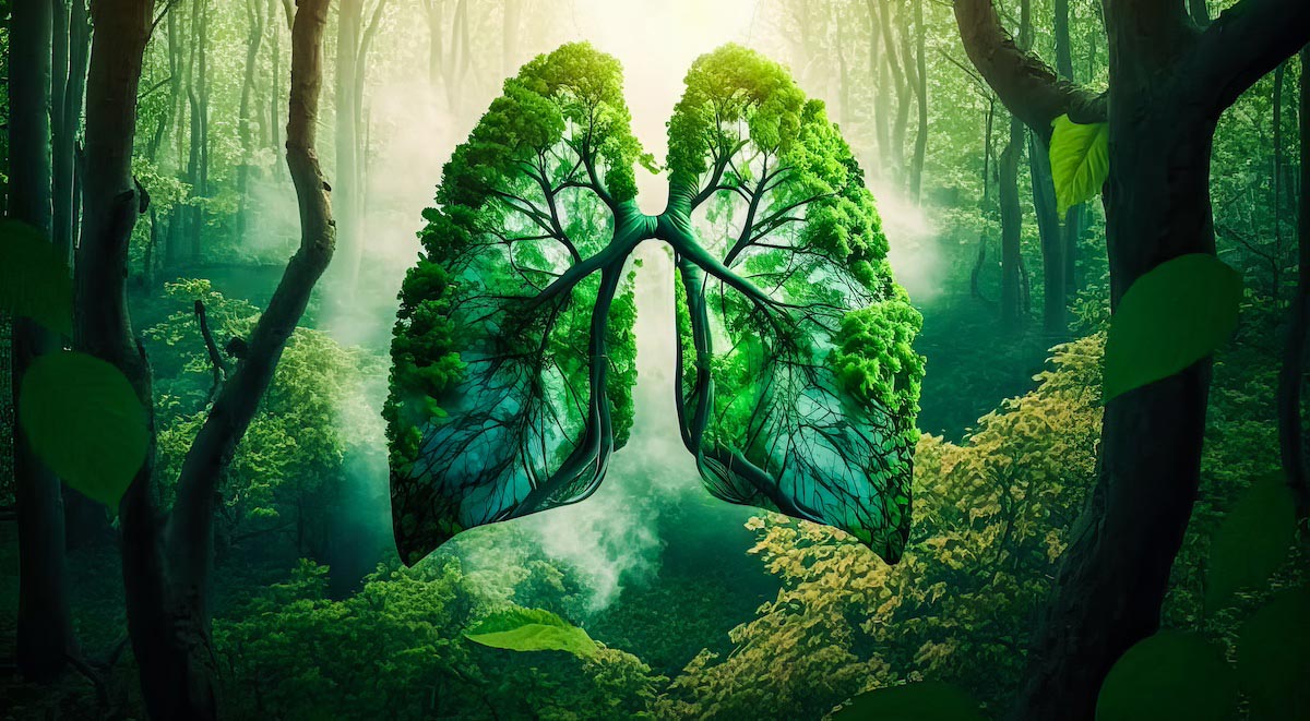 Health & Wellness inspirational image